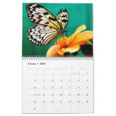 Moderne Fotografie Butterfly Kalender (Jan 2027)