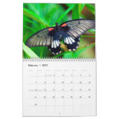 Moderne Fotografie Butterfly Kalender (Feb 2027)