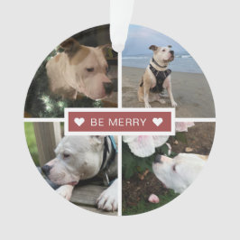 Moderne Fotos versammeln sich. Ornament