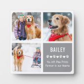 Moderne Fotosammlung zur Erinnerung an Haustiere Fotoplatte (Vorderseite)