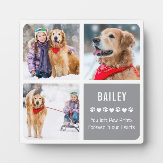 Moderne Fotosammlung zur Erinnerung an Haustiere Fotoplatte (Vorderseite)