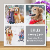 Moderne Fotosammlung zur Erinnerung an Haustiere Fotoplatte