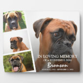 Moderne Fotosammlung zur Erinnerung an Haustiere Fotoplatte (Vorderseite)