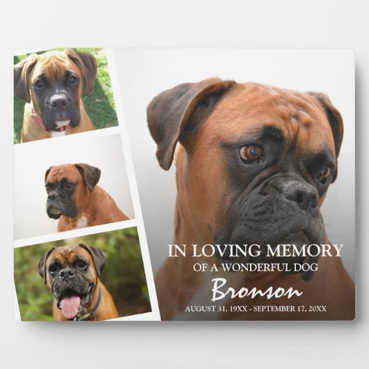 Moderne Fotosammlung zur Erinnerung an Haustiere Fotoplatte (Vorderseite)