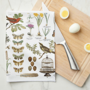moderne französische botanische Vögel und Blumen i Küchentuch
