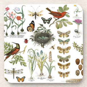 moderne französische botanische Vögel und Blumen i Untersetzer