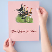 Moderne Game Rooders Flyer (Hand)