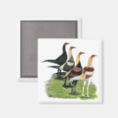 Moderne Game Rooders Magnet (Vorderseite/Rückseite)