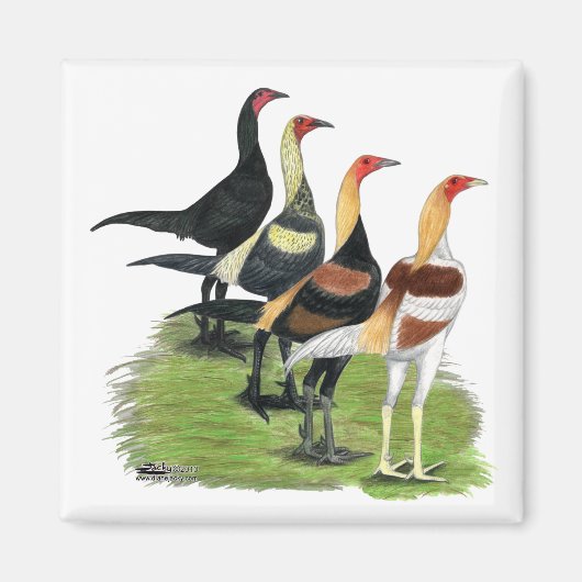 Moderne Game Rooders Magnet (Vorne)