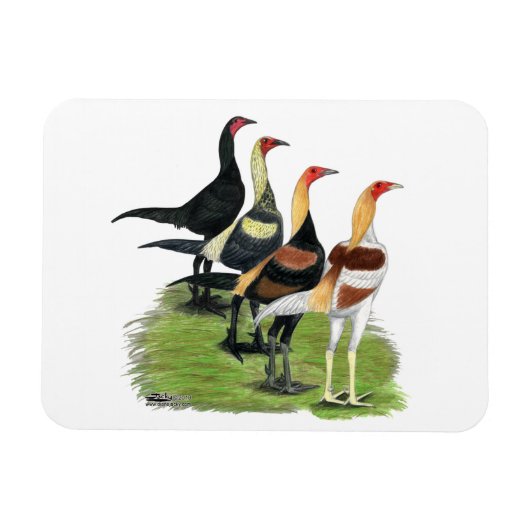 Moderne Game Rooders Magnet (Horizontal)