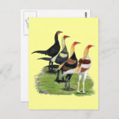 Moderne Game Rooders Postkarte (Vorne/Hinten)