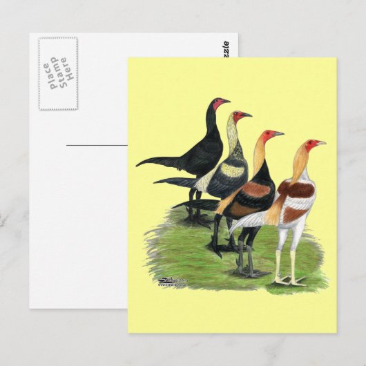 Moderne Game Rooders Postkarte (Vorne/Hinten)