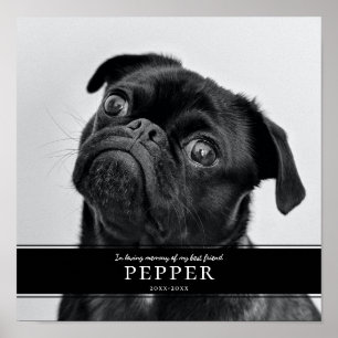 Moderne Gedenkfoto für verstorbene Hunde Poster