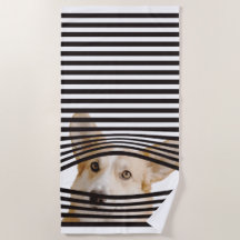 Moderne Geschenke für Hundeliebhaber in der Fotogr