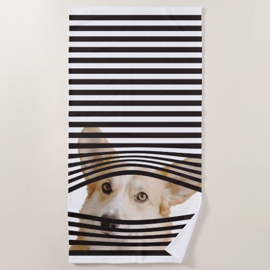 Moderne Geschenke für Hundeliebhaber in der Fotogr Strandtuch (Vorderseite)