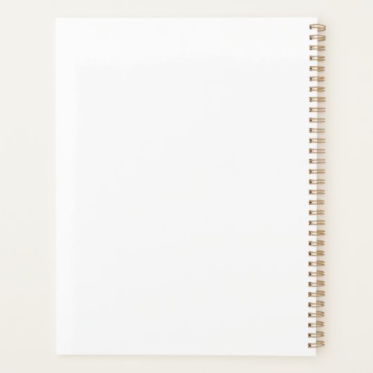 Moderne Glossy Information Symbols Planer (Rückseite)