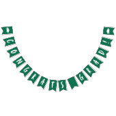 Moderne Glückwunsch Grad Green Abschluss Wimpelkette (Alle)