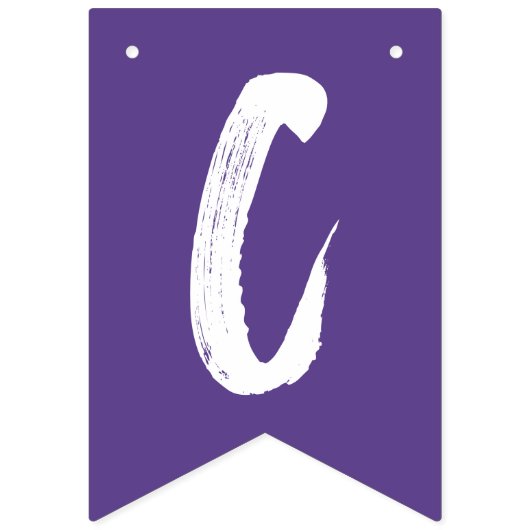 Moderne Glückwunsch Grad Lila Abschluss Wimpelkette (Zweite Fahne)