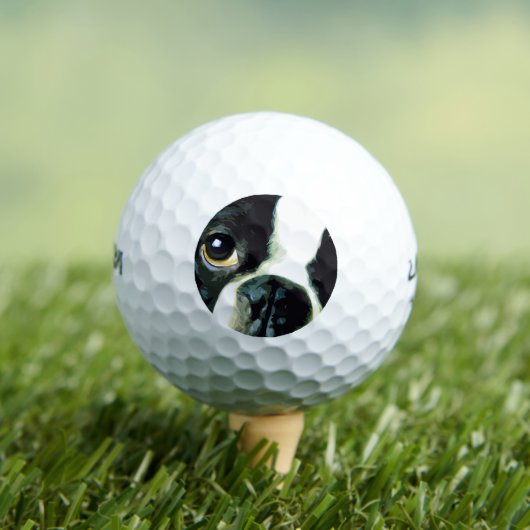 moderne Großstadt Boston Terrier Golfball (Insitu T-Shirt)