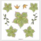 Moderne grüne Echeveria handGezeichnet Sukkulent Aufkleber (Blatt)