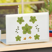 Moderne grüne Echeveria handGezeichnet Sukkulent Aufkleber