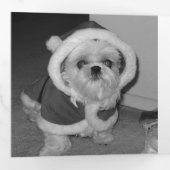 Moderne grüne Rustikale Schneeflocke 3 Foto Dreifach Gefaltete Urlaubskarte (Innen Erste Seite)