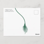 Moderne Grüne Tassel-Graduierungspartei Postcard Postkarte (Rückseite)