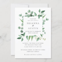 Moderne Grünflächen Eukalyptus Botanische Blätter