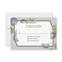 Moderne Heirloom Morning Glory Antwort