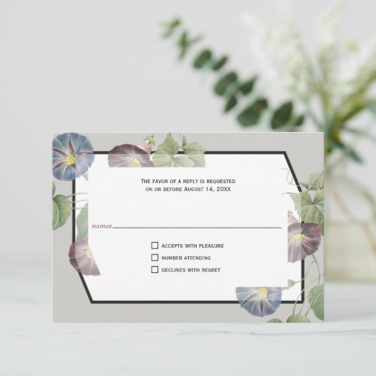 Moderne Heirloom Morning Glory Antwort (Stehend Vorderseite)