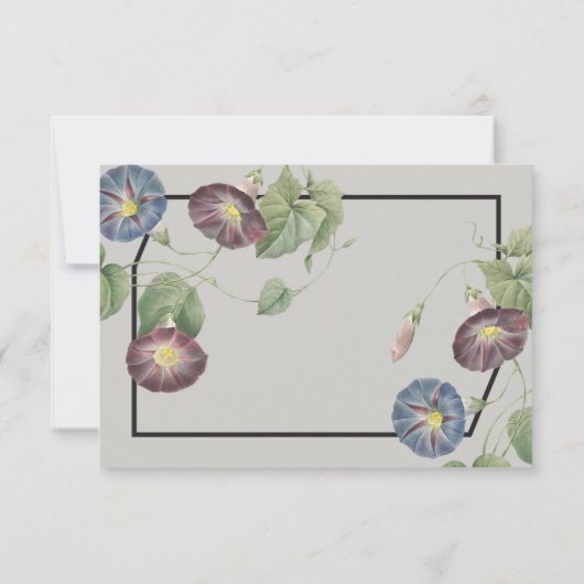 Moderne Heirloom Morning Glory Antwort (Rückseite)