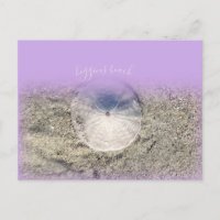 Moderne Higgins Beach Maine Sand Dollar Lila Ombr