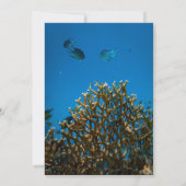 Moderne Hochzeit des Marine Underwater Sea Fish Re Save The Date (Rückseite)