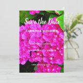 Moderne Hortensien rosa Blumen Sommerhochzeit Save The Date (Stehend Vorderseite)