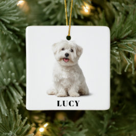 Moderne Hunde-Foto-Weihnachtsbaumkugel Keramikornament