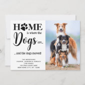 Moderne Hunde maßgeschneidertes Foto, das wir zum  Ankündigung (Vorderseite)