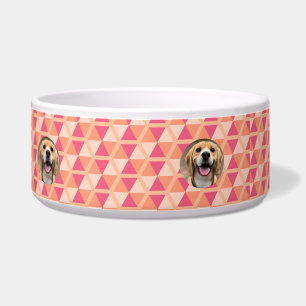 Moderne Hunde-Nahrung Neue Hundefutter-Mama Hausti Napf