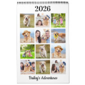 Moderne Hundefamilie für Fotos kreieren Ihren eige Kalender (Titelbild)