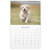 Moderne Hundefamilie für Fotos kreieren Ihren eige Kalender (Jan 2026)