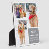 Moderne Hundespeicherung Keepake Pet FotoCollage Fotoplatte (Seite)