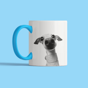 Moderne individuelle Tierfotos   Meeko Zweifarbige Tasse