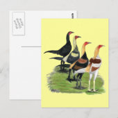 Moderne Kampfhähne Postkarte (Vorne/Hinten)