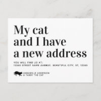 Moderne Katze, die wir in die neue Adresse verscho