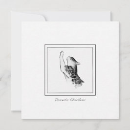 Moderne Katzenhalle und Holzkohle Schwarz-Weiß-Ski Mitteilungskarte