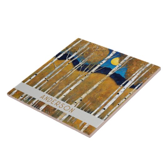 Moderne Keramik Tile Fliese (Seite)