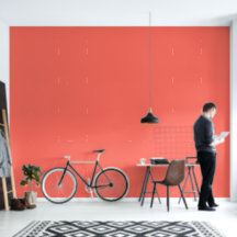 Moderne korallenrosa Büro-Heimdekoration Winter