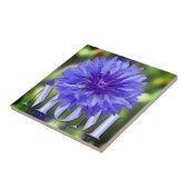 Moderne Kornblumen Elegantes Blau Muttertag Fliese (Seite)