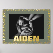 Moderne, kühne TEXT GOLD PEBBLES UND MOSS-Foto Foliendrucke (Vorderseite)