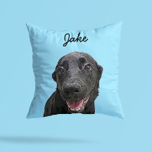 Moderne Labrador Retriever Illustration | Name hin