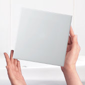 Moderne, leicht graue, Schlichte Farbtafel Fliese